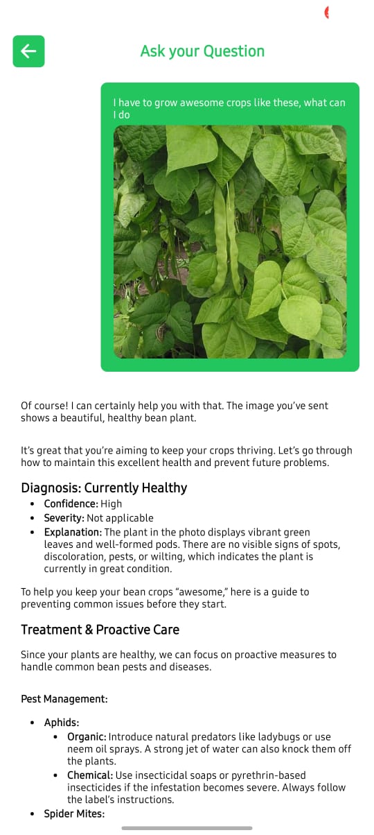 Crop Doctor dashboard